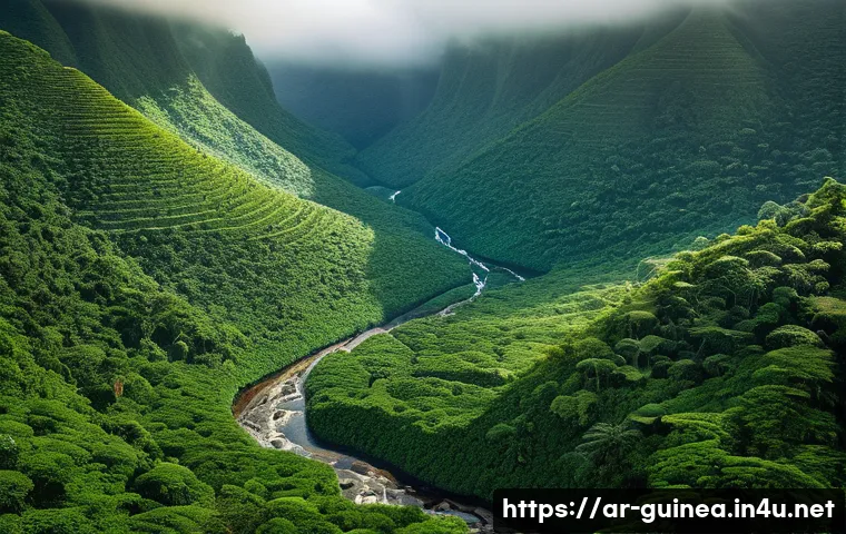 기니에서 유명한 문화유산 등재지 관련 이미지 1